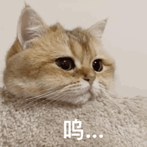 7月电子厂侧拍视频集锦
